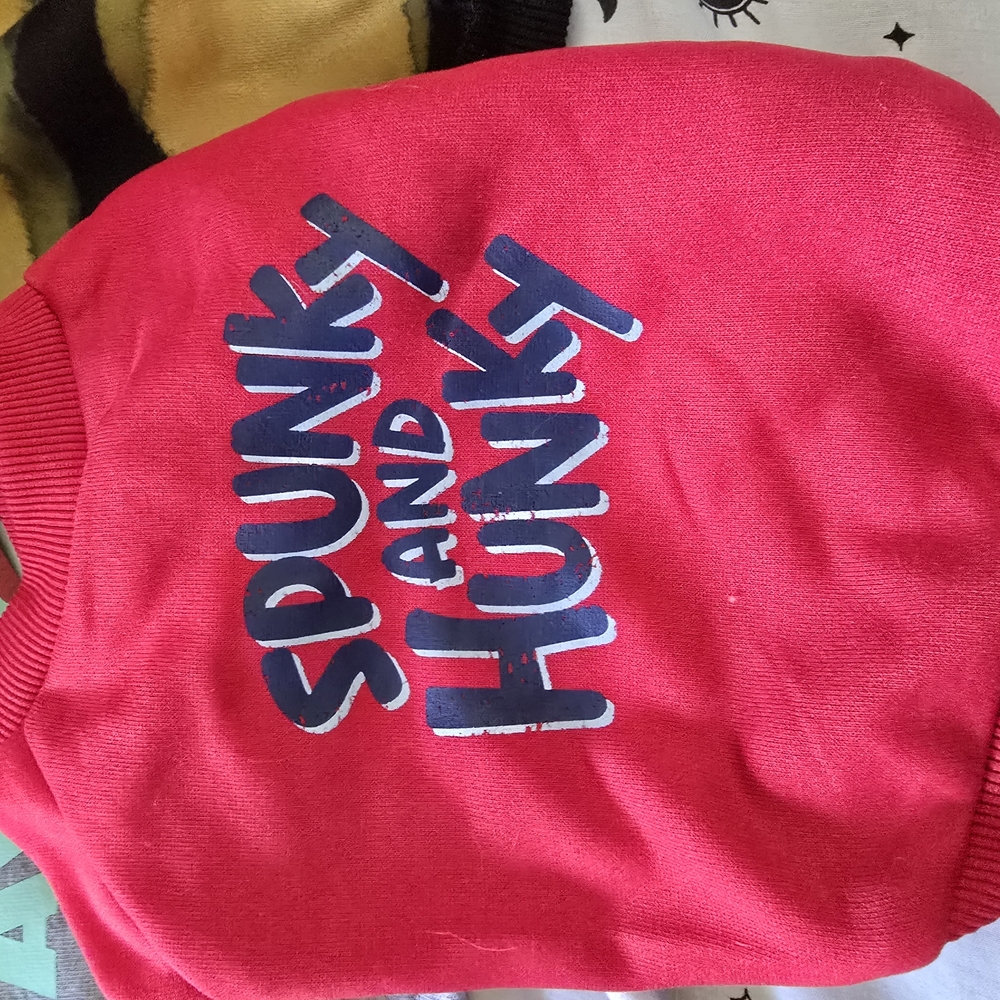 Colorful Small Pet Sweaters Collection - Picture 3 of 6